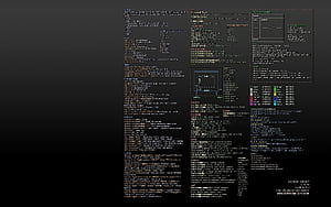 Python Developer HD wallpaper