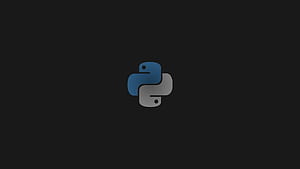 Python Developer HD wallpaper