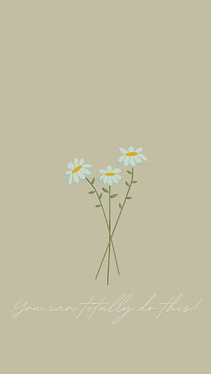 Spring Basic HD phone wallpaper