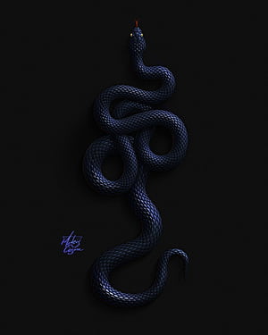 Python - Behance, Black Python HD phone wallpaper
