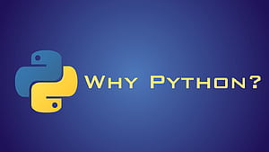 REASONS TO LEARN PYTHON, Python Logo HD wallpaper