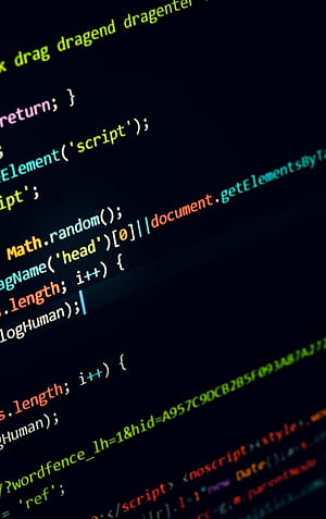programming, code, Programmer HD phone wallpaper