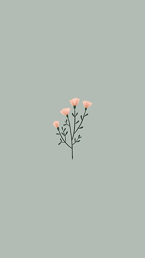 Spring Basic HD phone wallpaper