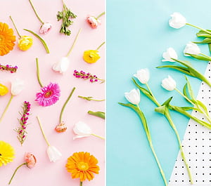 Spring Basic HD wallpaper