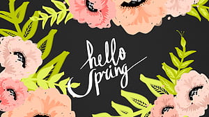 Spring Basic HD wallpaper
