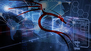 Kali Linux, Linux Code HD wallpaper