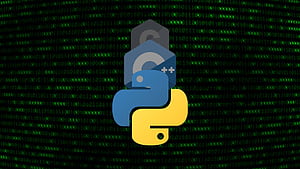 6 Ultra Hacker Python, Python Logo HD wallpaper