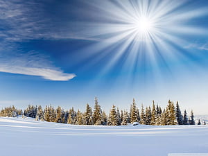 Winter Basic HD wallpaper