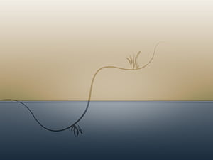 Basic PC HD wallpaper