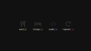 Programming, Java Developer HD wallpaper