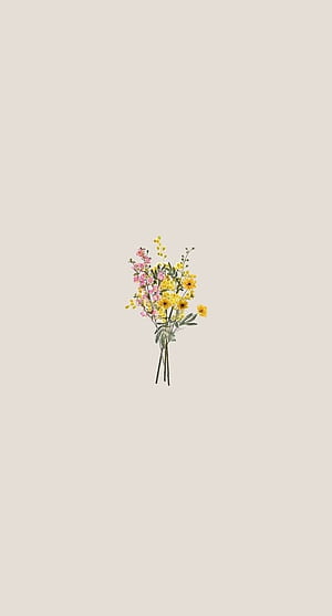 Spring Basic HD phone wallpaper