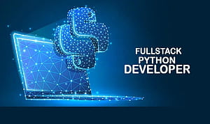 Learn Python Programming Online. Python Programming Online Training, Python Developer HD wallpaper