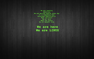 We are Linux!. Linux, Linux mint, Computer security, Linux Code HD wallpaper