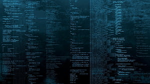 Java Developer HD wallpaper