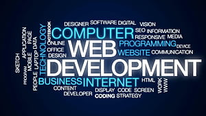 Web Developer, Web Coding HD wallpaper