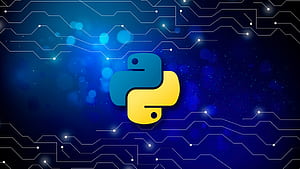 Python HD wallpaper