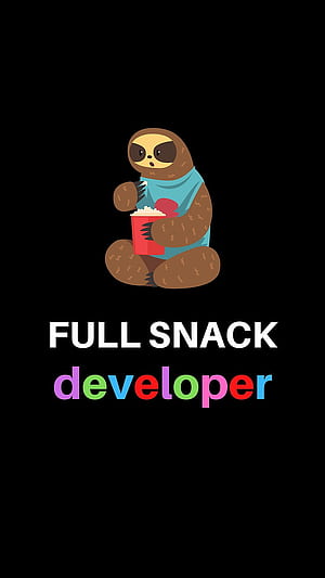 Full Stack Developer, Hacker programming, JavaScript, Python coder, Software coding, , Web Coding HD phone wallpaper