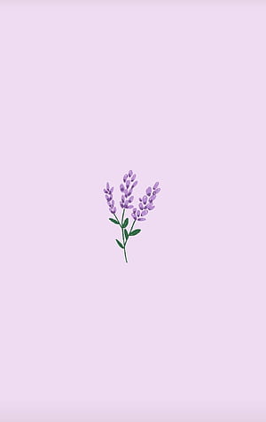 Basic Spring HD phone wallpaper