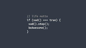 Programming , Programming Background on Bat, Java Developer HD wallpaper