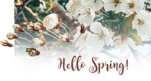 Basic Hello Spring HD wallpaper