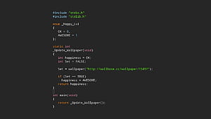 Back For Programming [] for your , Mobile & Tablet. Explore Game Developer . Android Developer , Developer , Developer, Java Developer HD wallpaper