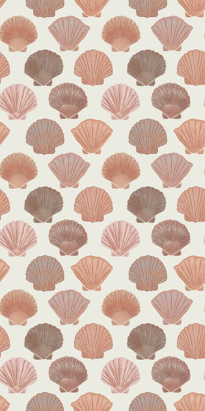 Shells, Shell Pattern HD phone wallpaper