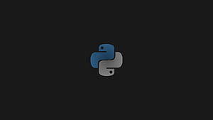 Python Developer , Python Developer Background on Bat, Black Python HD wallpaper
