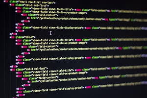 Web Developer , The BEST Web Developer &, Web Coding HD wallpaper