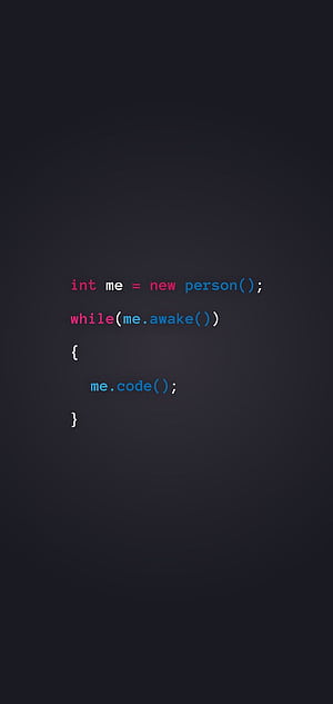 Code coders, Programmer HD phone wallpaper