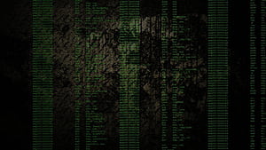 / code, programming, programming language, assembly line, assembly HD wallpaper