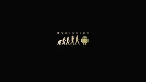 Linux evolution PC and Mac, Linux Code HD wallpaper