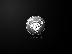 Gnu, GNU Linux HD wallpaper