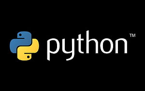 Python Programming . Python, Python Logo HD wallpaper