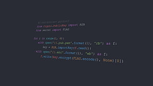 Python Developer HD wallpaper