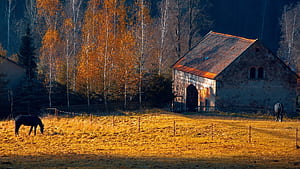 Rustic Fall HD wallpaper