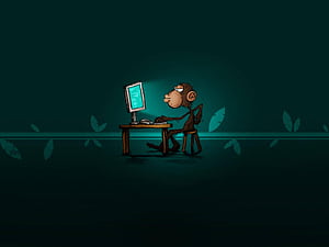 Monkey Doing Coding, Cartoon Coding HD wallpaper
