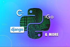 Django Python HD wallpaper