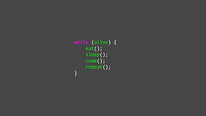 Programmer, Python Developer HD wallpaper