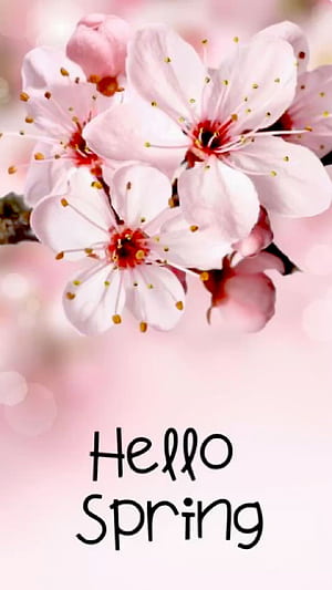 Basic Hello Spring HD phone wallpaper