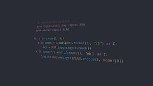 Python HD wallpaper