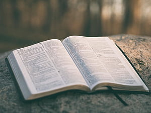 Scripture Study HD wallpaper