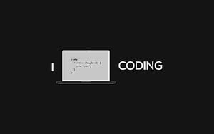 Programming, Cool Programmer HD wallpaper
