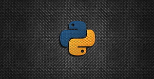 Python Logo HD wallpaper