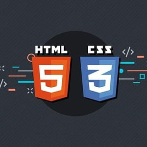 100DaysofCode Chapter 1 HTML and CSS Basics Community HD phone wallpaper