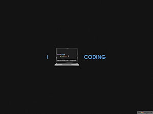 Funny python coding, Python Developer HD wallpaper