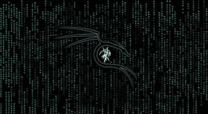 Kali Linux, Linux Code HD wallpaper
