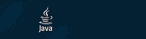 Custom Java Development Services & Tech, Java Developer HD wallpaper