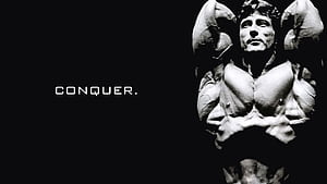 Conquer, Arnold Conquer HD wallpaper