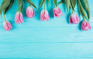 Basic Spring HD wallpaper