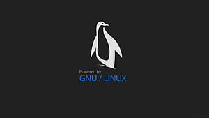 GNU Linux Logo HD wallpaper